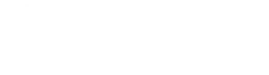 Developers.net Logo White Version